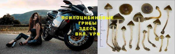 jwh Каменка