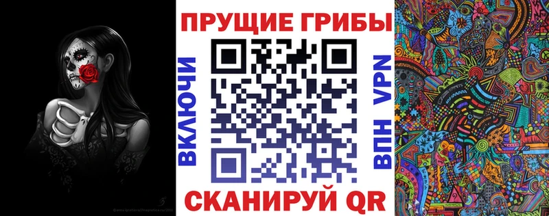 Псилоцибиновые грибы Psilocybe  Купить  Вяземский 